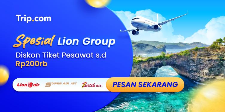 Spesial Lion Group