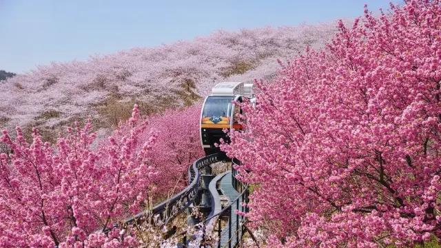 eSIM | 更多人氣體驗