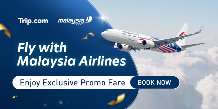 Malaysia Airlines Promo