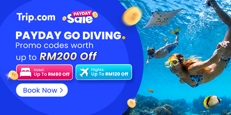 Payday Go Diving!