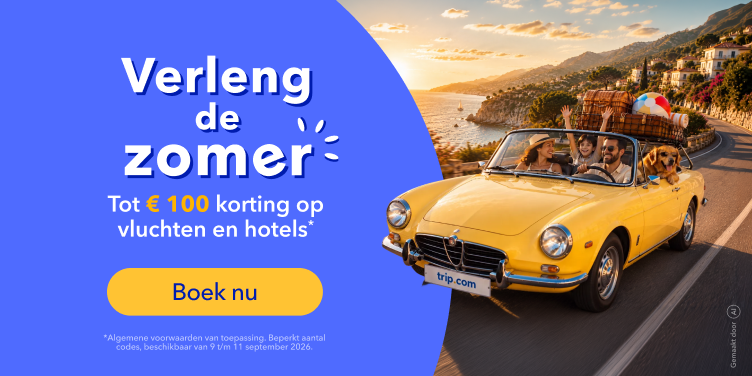 9.9 Online Home Deals banner