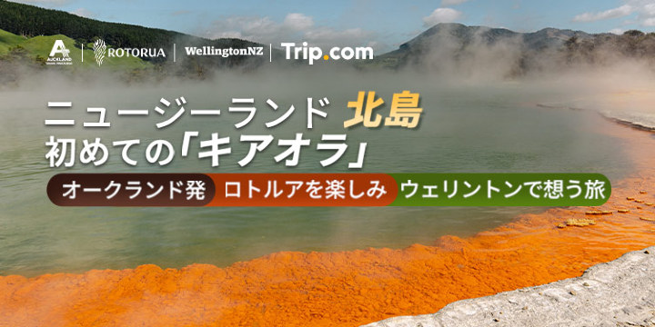ニュージーランド北島：初めての「キアオラ」