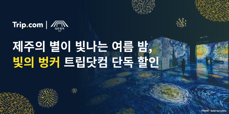 빛의 벙커 단독 할인