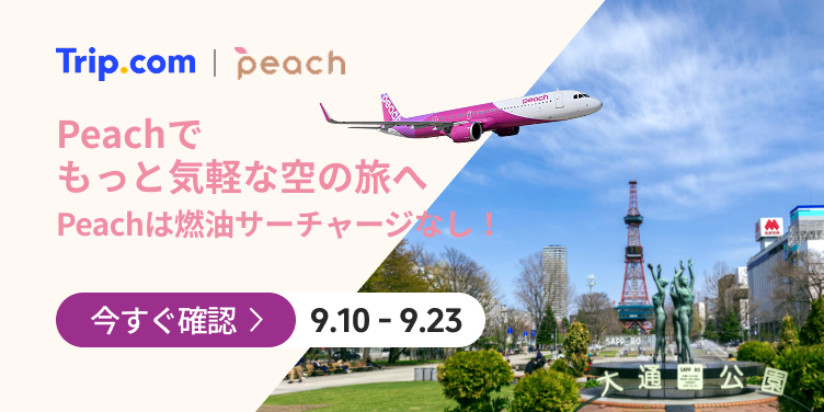 Peachでもっと気軽な空の旅へ