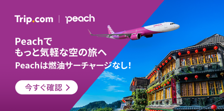 Peachでもっと気軽な空の旅へ