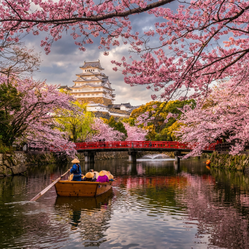 Japonya