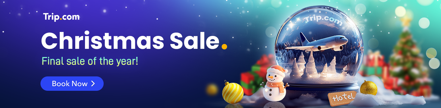 Christmas Sale