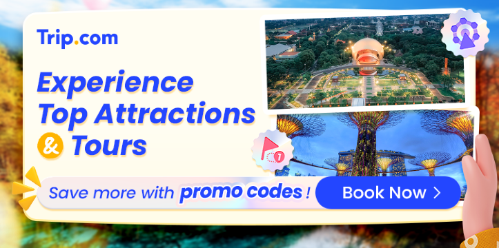 Experience Top Attractions & Tours