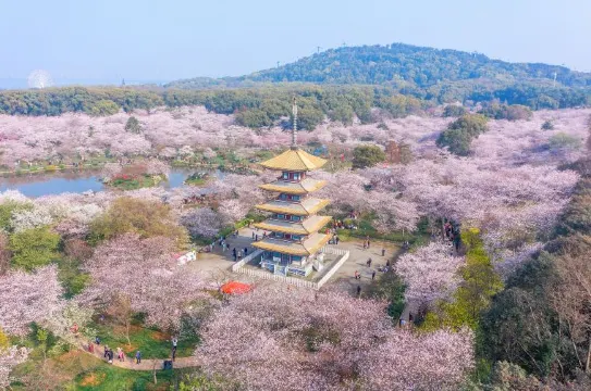 อู่ฮั่น