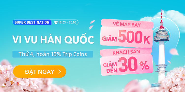 Vi vu Hàn Quốc​