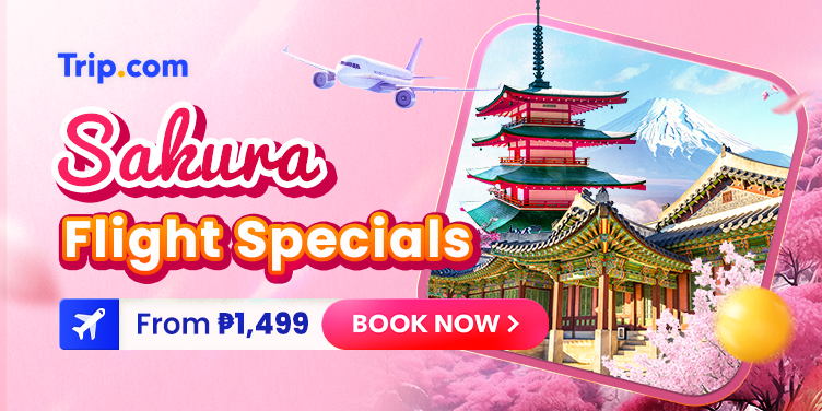 Sakura Flight Specials | Trip.com