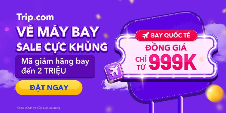 8.8 MEGA SALE FLIGHT