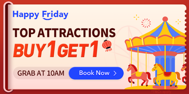 ATTRACTIONS&TOURS FLASH SALE!