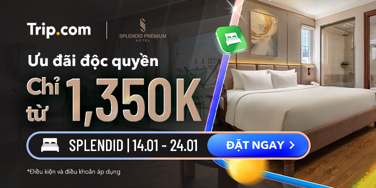Ưu đãi chuỗi khách sạn Splendid