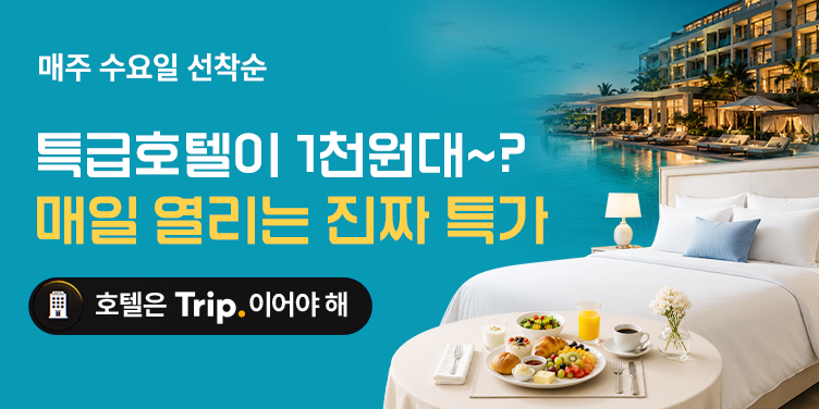 호텔은 Trip.이어야 해