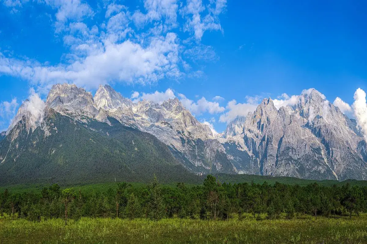 旅行團半價