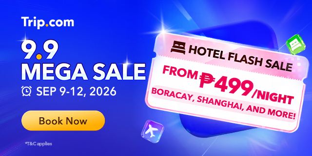 9.9 Mega Sale D-Day