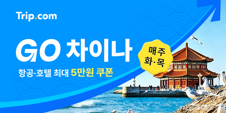 중국 여행 초특가
