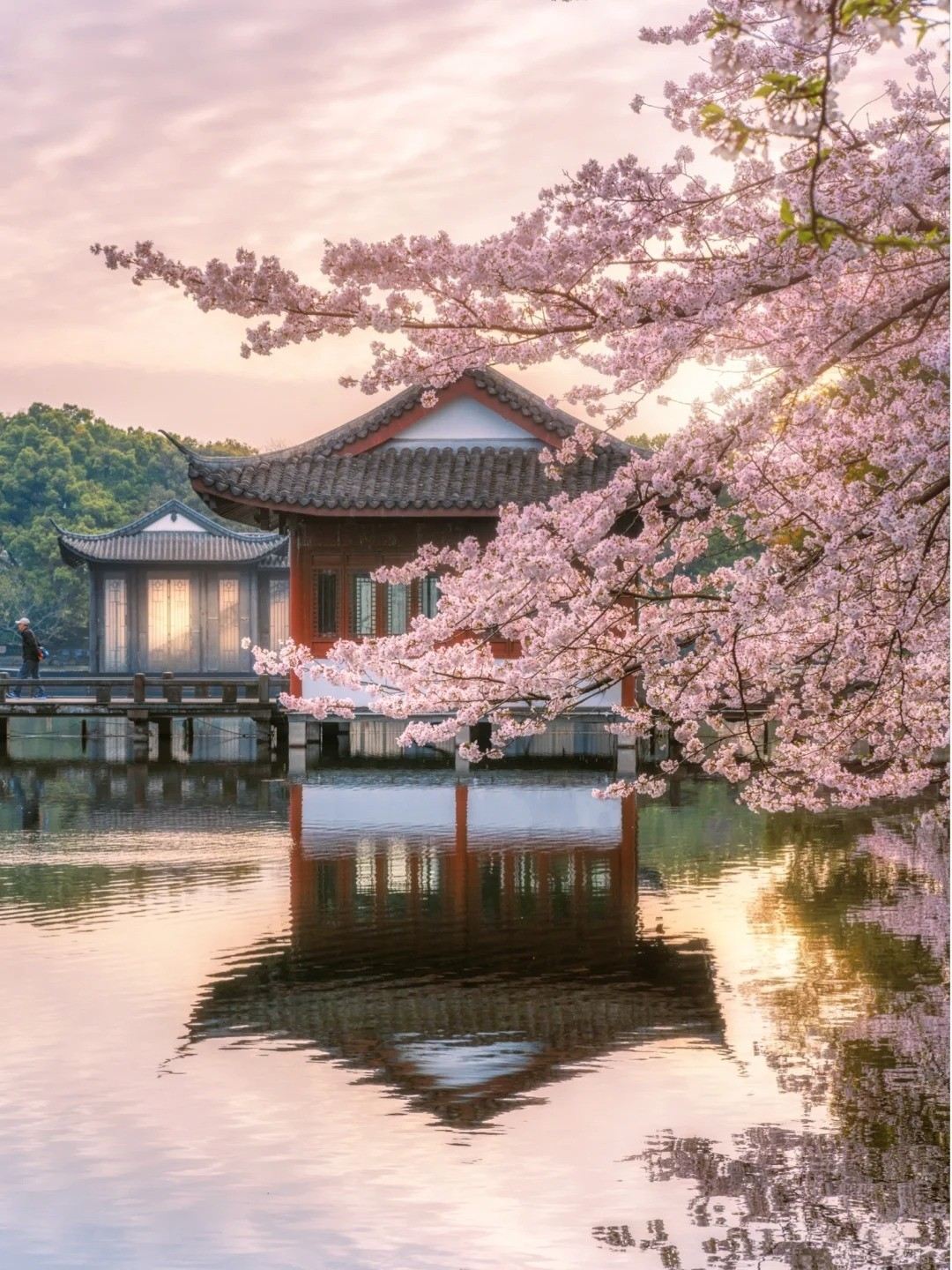 春天