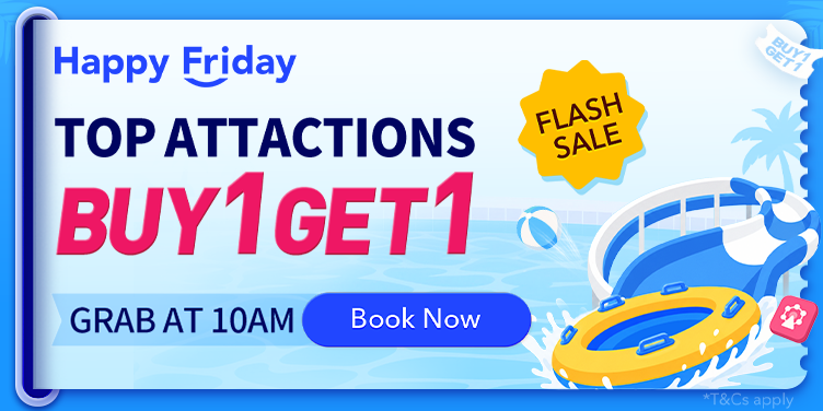 ATTRACTIONS&TOURS FLASH SALE!