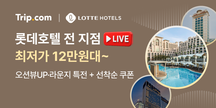 롯데호텔 라이브 초특가 12만원대~