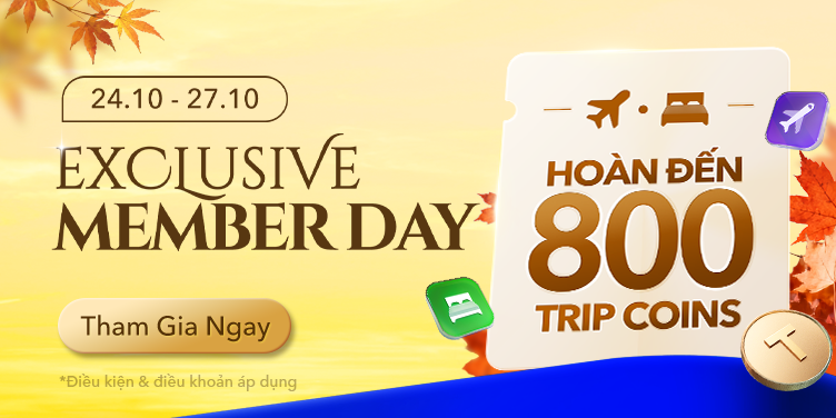 Member day Exclusive | Trip.com