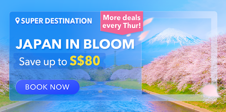 Japan in Bloom