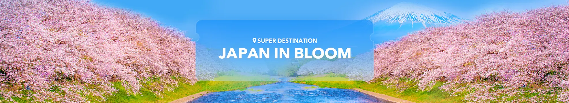 Japan in Bloom: Up to 50% off Hotels