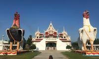 วัดเจดีย์ (ไอ้ไข่)