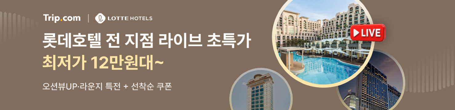 롯데호텔 라이브 초특가 12만원대~