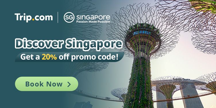 Discover Singapore