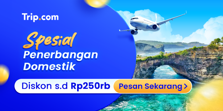 Spesial Penerbangan Domestik