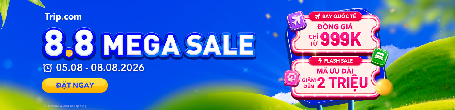 8.8 MEGA SALE