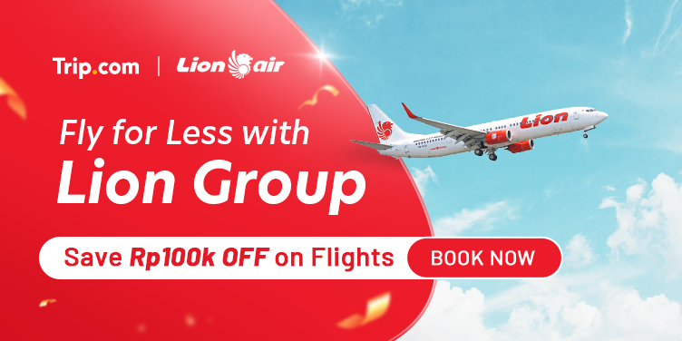 Fly for Less with Lion Group