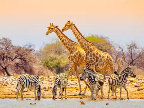 動物園與植物園
