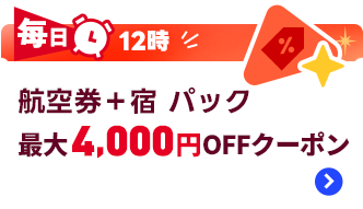 クーポンセール限定1【通信資格保証4万1千円♥️カラーセラピーL1&2 】副業 11.11 メガSALE！人気航空券5900円＆ホテルホテル1,111円〜！ | Trip