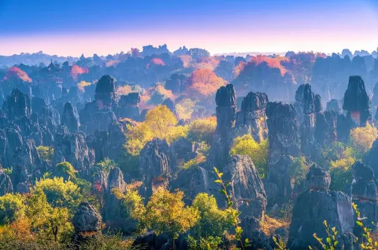 คุนหมิง