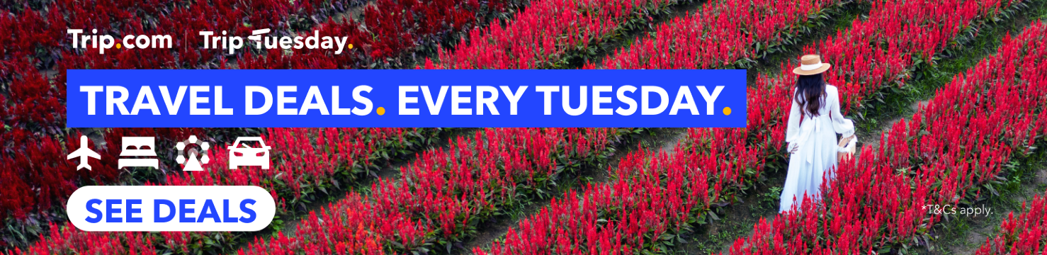 TripTuesday Flash Sale Deals