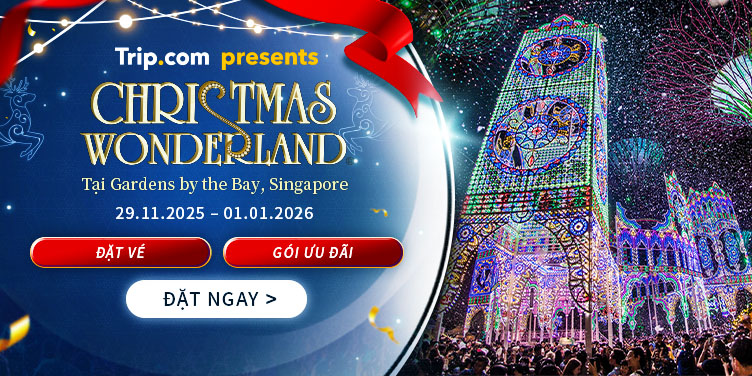 CHRISTMAS WONDERLAND 2025