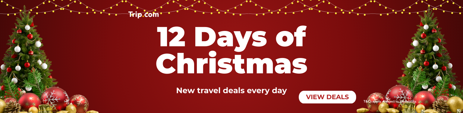 12 Days of Christmas