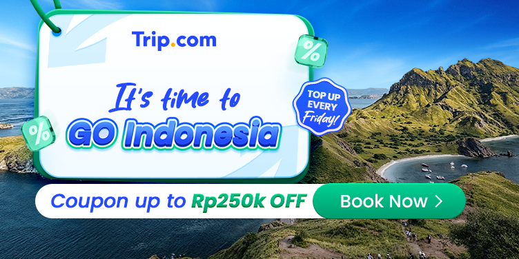 Special Domestic Hotel Promo!