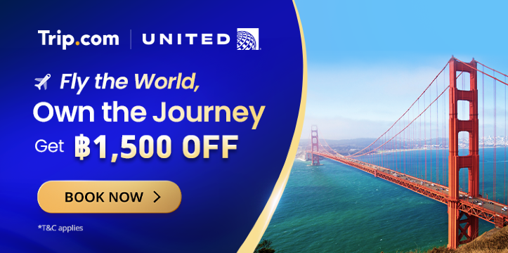 United Airlines Flight Exclusive