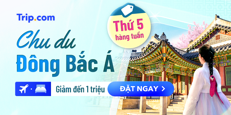 Chu du Đông Bắc Á