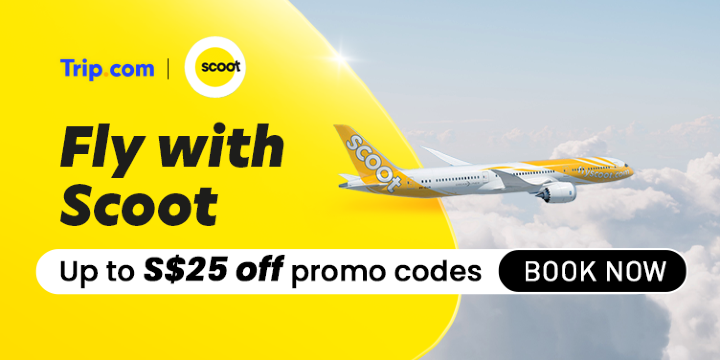 Fly with Scoot