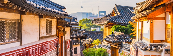 국내