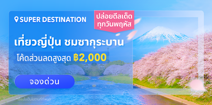 เที่ยวญี่ปุ่น ชมซากุระบาน