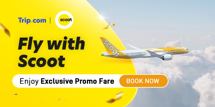 Scoot Special Fares