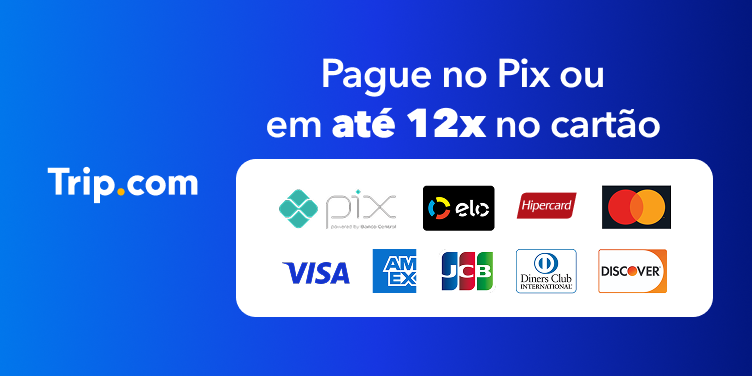 BR Payment Information