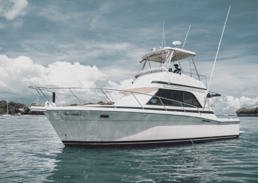 Yachts & Ferries