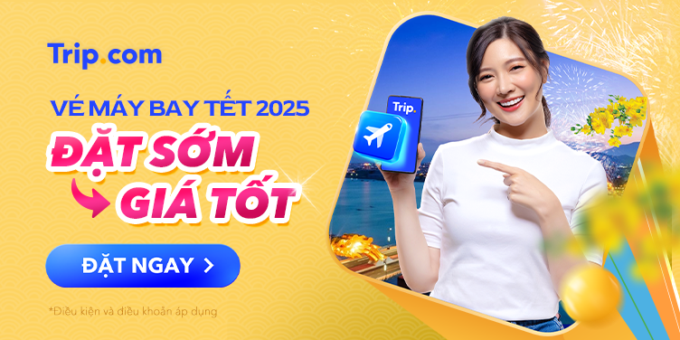 Vé máy bay Tết 2025